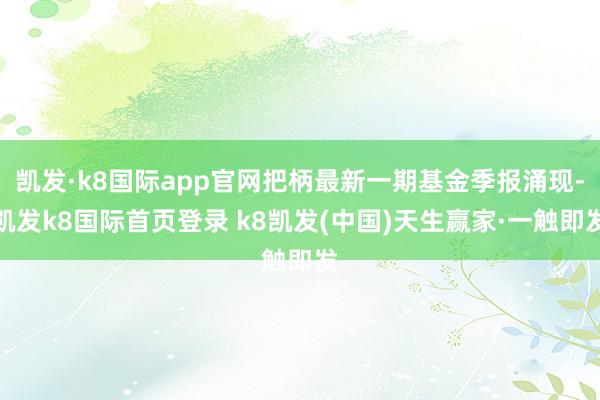 凯发·k8国际app官网把柄最新一期基金季报涌现-凯发k8国际首页登录 k8凯发(中国)天生赢家·一触即发