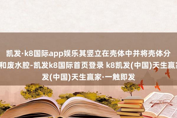 凯发·k8国际app娱乐其竖立在壳体中并将壳体分隔成清水腔和废水腔-凯发k8国际首页登录 k8凯发(中国)天生赢家·一触即发
